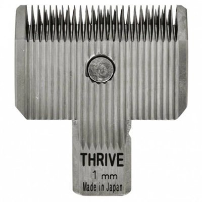 Thrive 5500-2 1mm