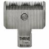 Thrive 5500-2 1mm